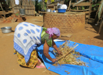 photo of Empowering women in order to save the harvest image