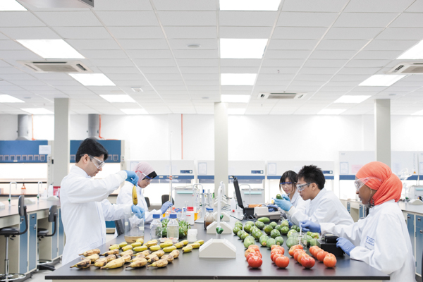 Researchers at the Center of Excellence for Post-harvest Biotechnology (CEPB) in Malaysia test a preservative coating made out of gum arabic that they hope will help reduce food waste in developing nations. Photo by: CEPB.