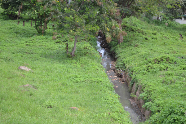  An open drainage sends untreated sewage from Kisumu, Kenya’s third largest city of just under 400,000 residents, directly into Lake Victoria. Photo credit: Isaiah Esipisu.