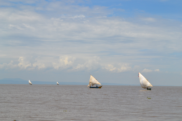  Fishing vessels ply Lake Victoria. Photo credit: Isaiah Esipisu.