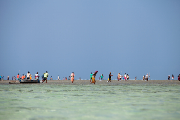 Fishermen and fisherwomen span out across an octopus fishing grounds on the day it was reopened to fishing after a closure of several months. The closures have become popular among fishing communities because they improve octopus harvests. Photo copyright: Garth Cripps / Blue Ventures 2015.