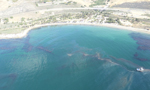 photo of Photos from the front: the California oil spill in pictures image