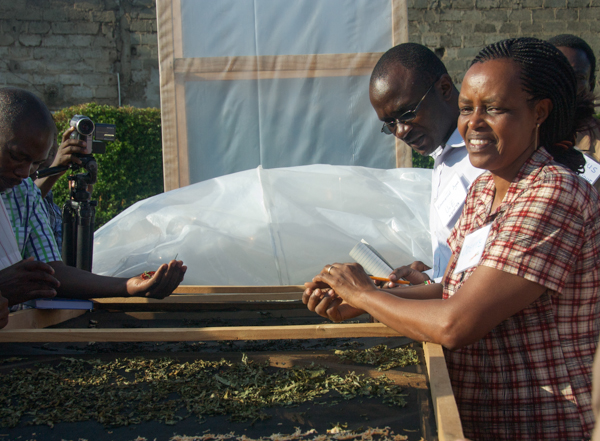 Odette Ngulu demonstrates a solar dryer dehydrating carrots and sweet-potato leaves for a group of agricultural workers from around Africa. Credit: Rachel Cernansky.