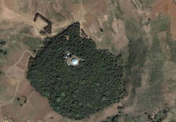Debresena church forest in South Gondar, Ethiopia. Photo courtesy of Google earth.