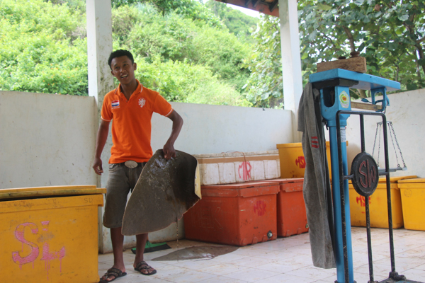 A customer carries a stingray home from the fish-weighing station in Pantai Gesing, Central Java. Photo credit: Melati Kaye.