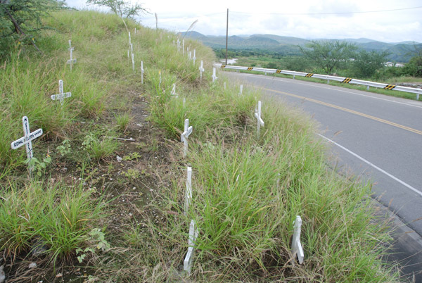 Crosses marking the deceased after peaceful protests turned violent near Bagua, Peru in 2009. Some Awajuns say there could be conflict if plans to dam and flood their territories move forward. Photo credit: David Hill