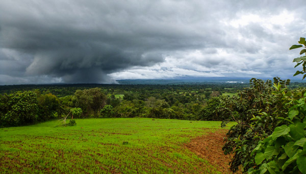 A thunderhead builds over a lush agricultural mosaic in a coffee growing region of Ethiopia. Photo credit: Evan Buechley.