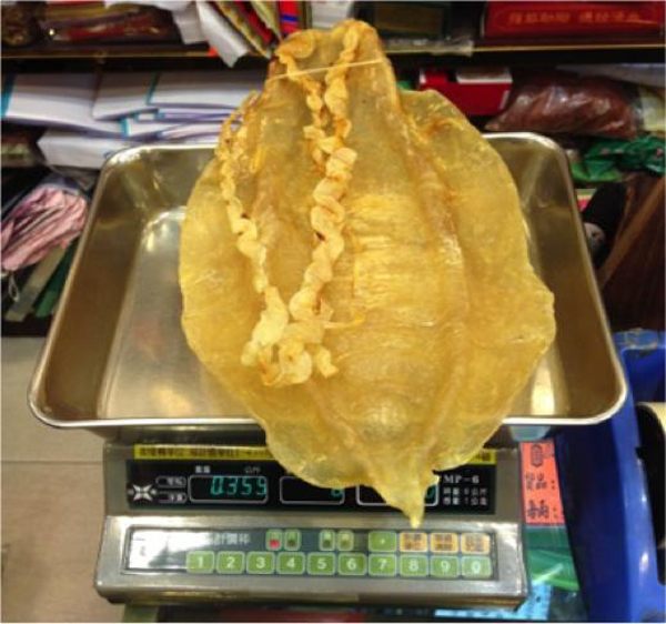 A Hong Kong trader showed this dried piece of totoaba swim bladder to Greenpeace investigators in April, 2015. The piece weighs 359 grams (12.7 ounces) and was for sale for 240,000 Hong Kong dollars, roughly $31,000. Photo credit: Greenpeace.