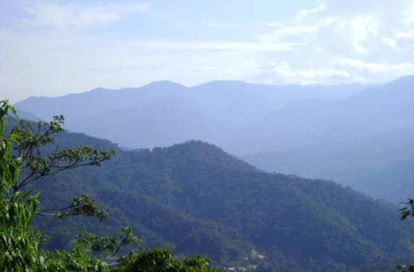 Cloud forest habitat within the project's survey area near La Esperanza, Peru. Photo credit: Sam Shanee.