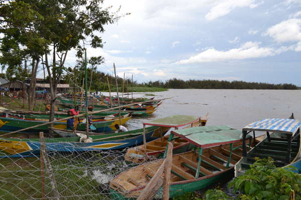  Fishing boats rest on the shore of Lake Victoria. Photo credit: Isaiah Esipisu.