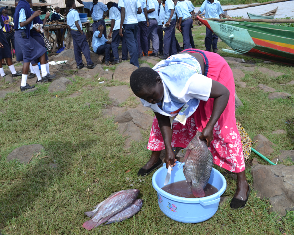  A woman prepares fish at busy Dunga Beach. Photo credit: Isaiah Esipisu.