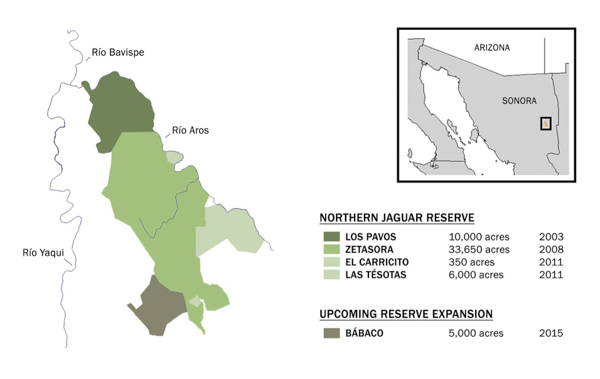 A map shows the location and extent of the Northern Jaguar Reserve in Sonora, Mexico, along with the recent addition of the Bábaco ranch. Map credit: Northern Jaguar Project / Naturalia.
