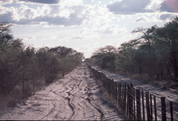 The Okavango veterinary fence in Botswana. Photo by Mark Johnstad.