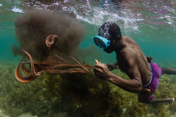 A fisherman spears an octopus in southwestern Madagascar. Photo copyright: Garth Cripps / Blue Ventures 2015.