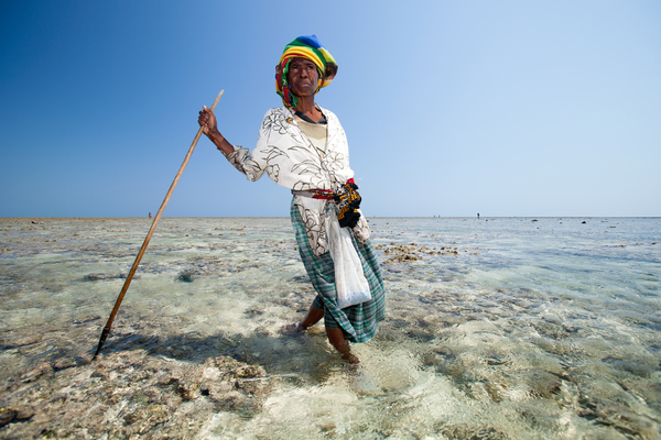 A fisherwoman wades a reef flat hunting octopus. Photo copyright: Garth Cripps / Blue Ventures 2015.