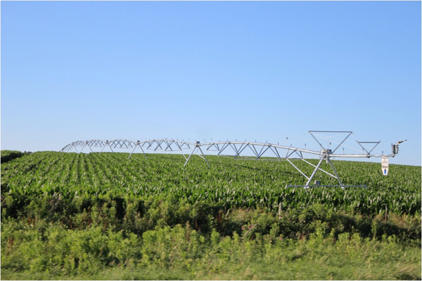 Cornfields in Kansas. Photo credit: David Gonthier.