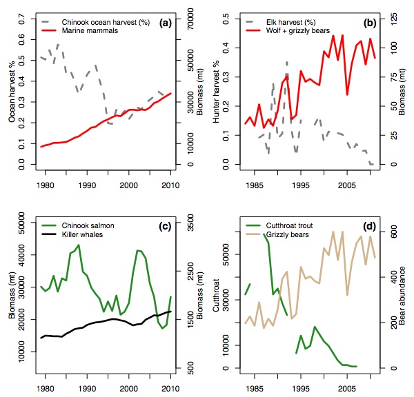 (a): Time series of Chinook commercial fishing harvest and biomass of marine mammals (pinnipeds, resident killer whales) in the Northeast Pacific Ocean. (b): Time series of predator biomass and elk harvest rates on the northern range elk herd of Yellowstone National Park. (c): Time series of ocean abundance of Chinook salmon and their killer whale predators in the Northeast Pacific Ocean. (d): Time series of Yellowstone cutthroat trout, a declining but unprotected species, at Clear Creek in Yellowstone National Park, and grizzly bear abundance in the Greater Yellowstone Ecosystem. Credit: Marshall, K., et al. (2015).